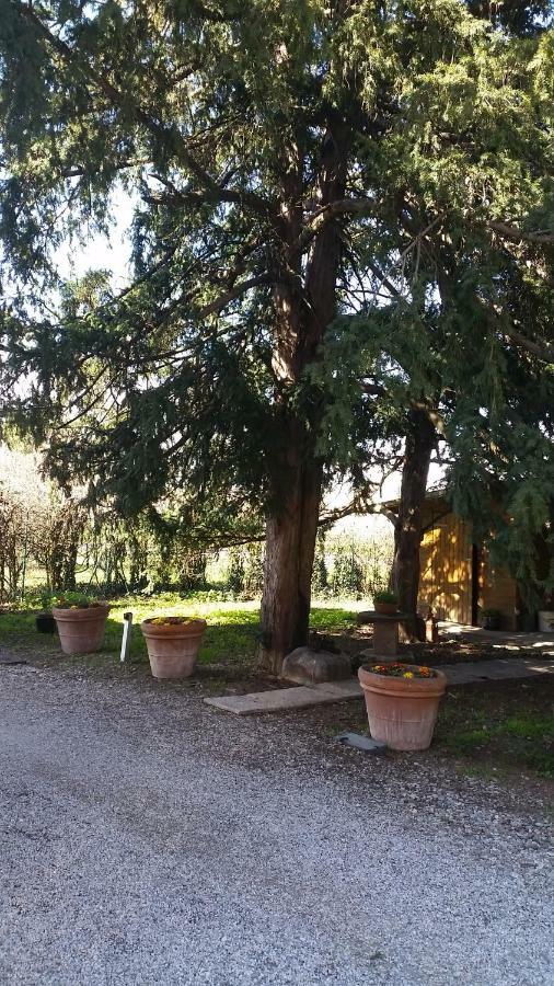 Bed and Breakfast Al Cancello Modena Exterior foto